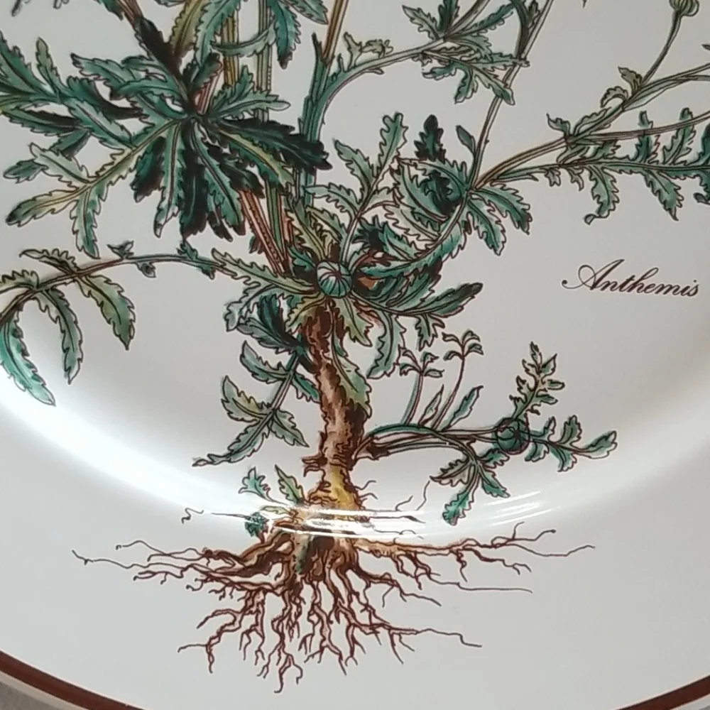 VILLEROY & BOCH Botanica Porcelain Dinner Plate